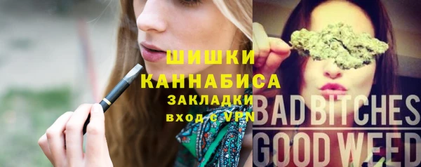 ГАЛЛЮЦИНОГЕННЫЕ ГРИБЫ Гусь-Хрустальный