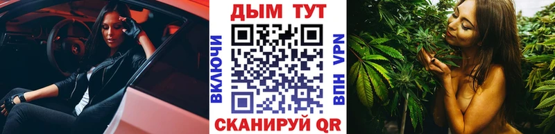 Купить где  Бакал  Конопля OG Kush 
